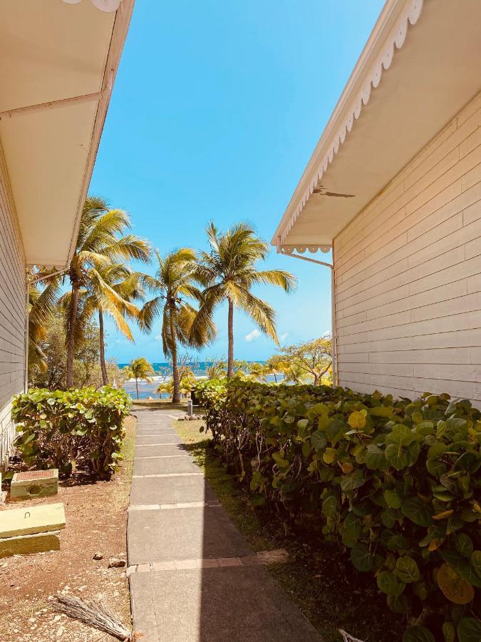 Tucum Home - Appart Au Village Vacances Sainte Anne Buitenkant foto